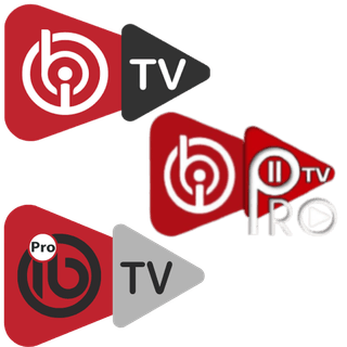Logo IBO PRO